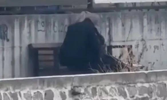 E tmerrshme: Burri rrah brutalisht një grua në Pejë